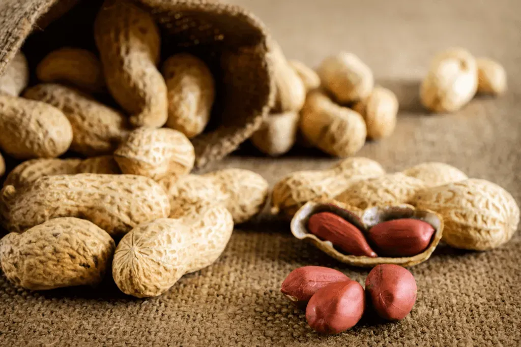 Peanuts Through Time: A Nutty Journey in Hist..