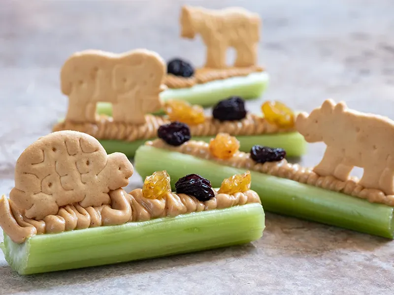 Can you suggest creative and nutritious snack..
