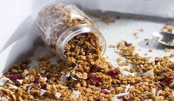 Are Granola and Dried Fruit Snacks Suitable f..