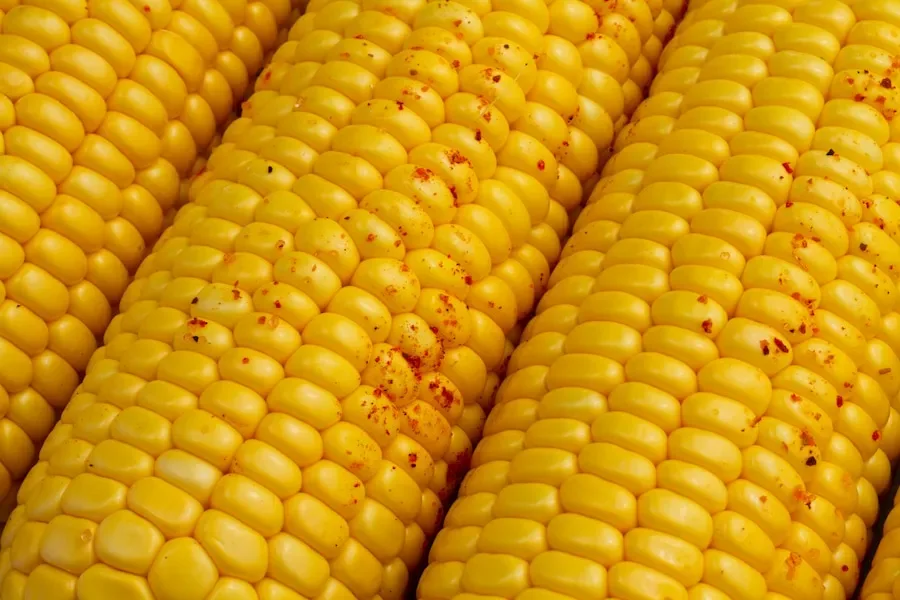 How do the complex carbohydrates in corn provide sustained energy for the day?