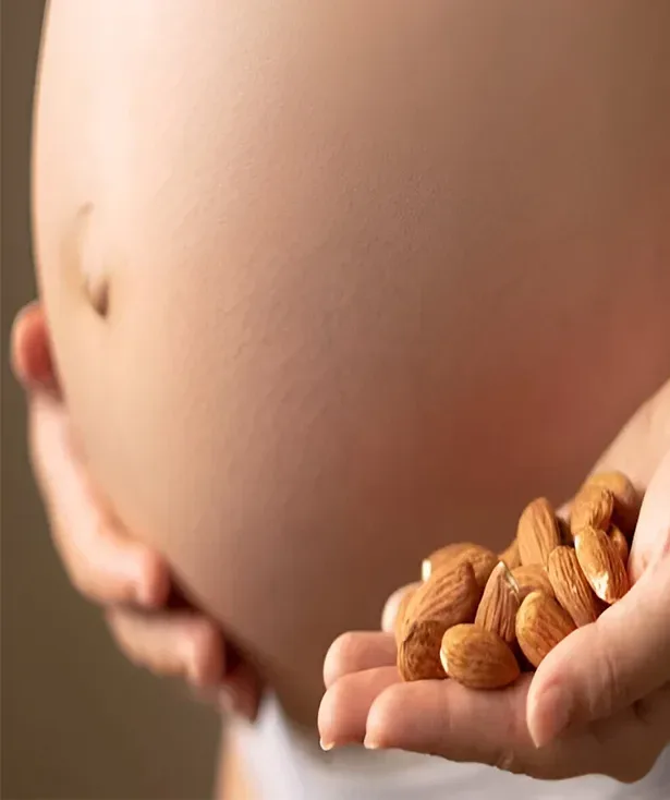 Can Eating Almonds During Pregnancy Help with Baby’s Brain Development?