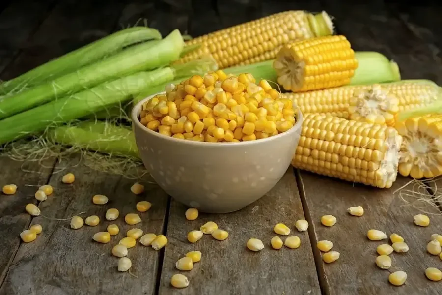 How Can I Balance Macronutrients (Proteins, Fats, and Carbohydrates) in My Diet?