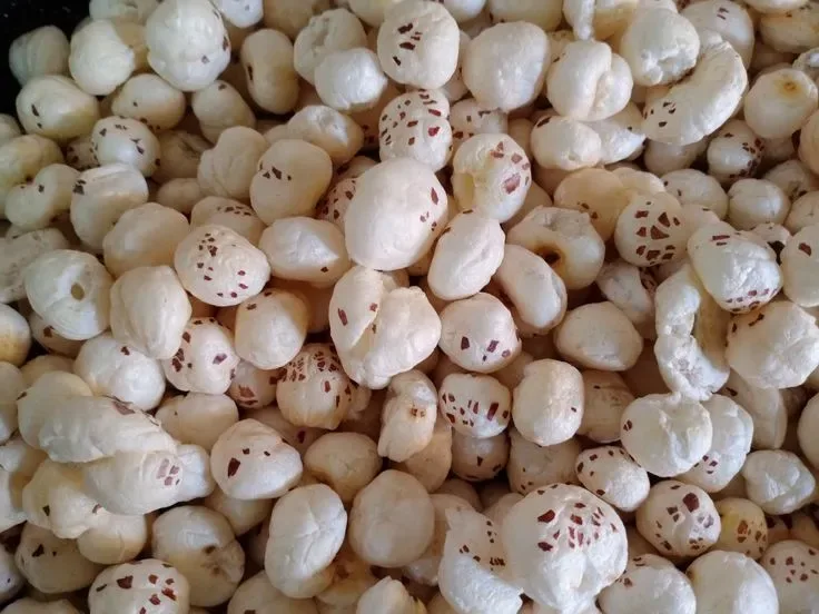 From Snacking to Sugar Control: The Role of Makhana Glycemic Index in a Healthy Diet